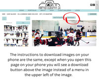 How to Download your Images