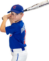 Cubs Cards